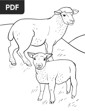 Sheep Coloring Page