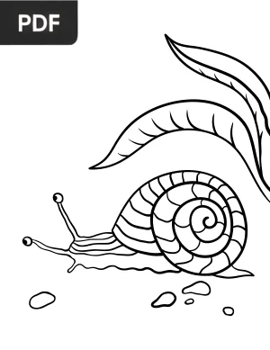 Snail Coloring Page