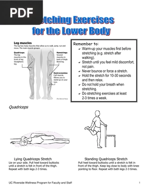 Stretches for Lower and Upper Body