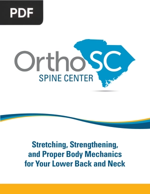 Stretching, Strengthening and Proper Body Mechanics for Your Lower Back and Neck