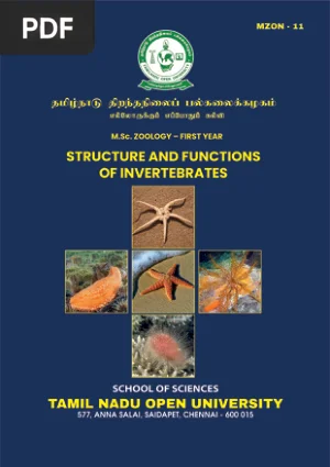 Structure and Functions of Invertebrates