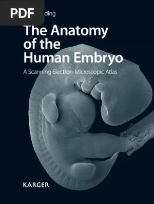 The Anatomy of the Human Embryo: A Scanning Electron-Microscopic Atlas