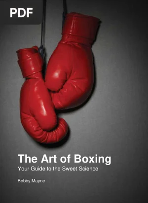 The Art of Boxing