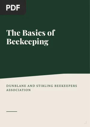 The Basics of Beekeeping