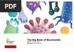 The Big Book of Boochandis