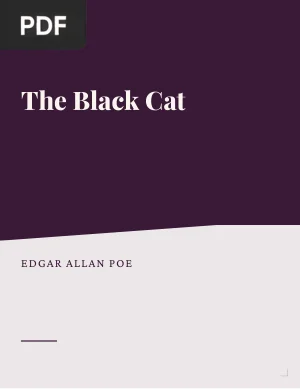 The Black Cat