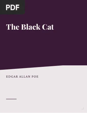The Black Cat