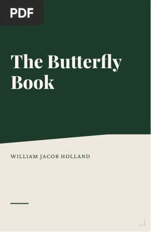 The Butterfly Book