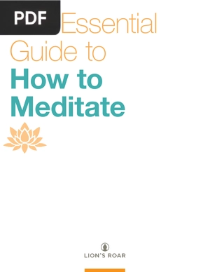 The Essential Guide to How to Meditate