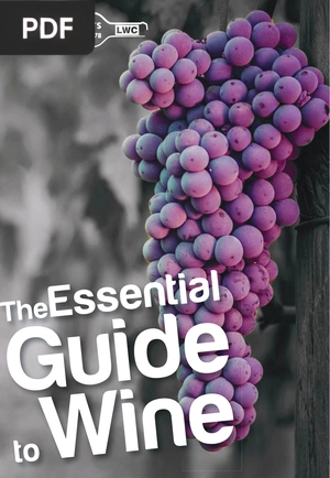 The Essential Guide to Wine