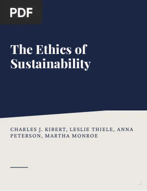 The Ethics of Sustainability