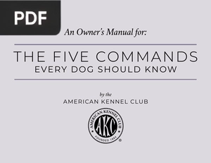 The Five Commands Every Dog Should Know