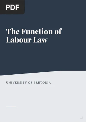 The Function of Labour Law