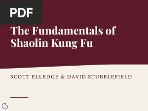 The Fundamentals of Shaolin Kung Fu