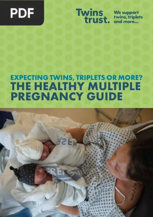 The Healthy Multiple Pregnancy Guide