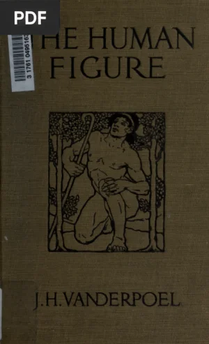 The Human Figure