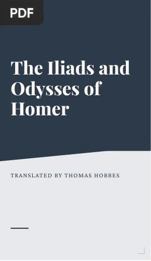 The Iliads and Odysses of Homer