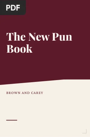 The New Pun Book