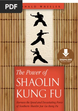 The Power of Shaolin Kung Fu