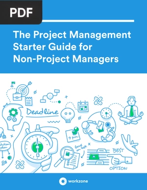 The Project Management. Starter Guide for Non-Project Managers