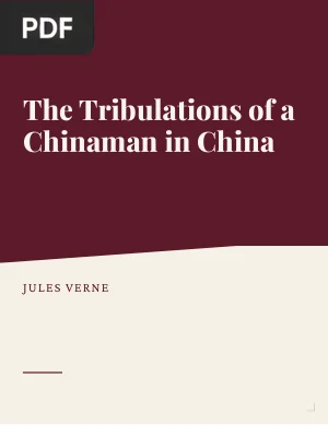 The Tribulations of a Chinaman in China