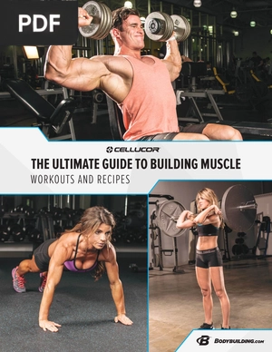 The Ultimate Guide to Building Muscle-Workouts and Recipes