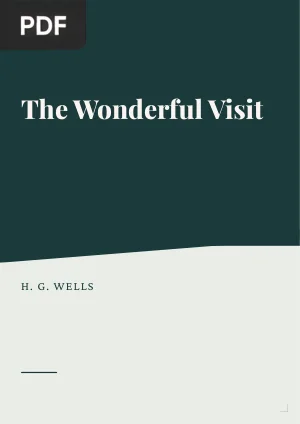 The Wonderful Visit