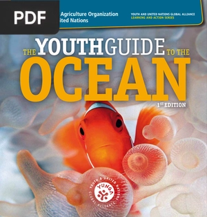 The Youth Guide to the Ocean