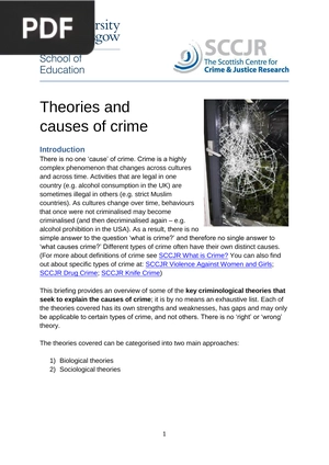 Theories and Causes of Crime
