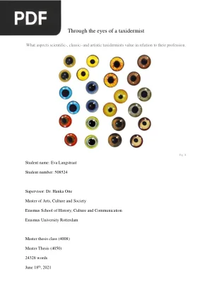 Through the eyes of a taxidermist