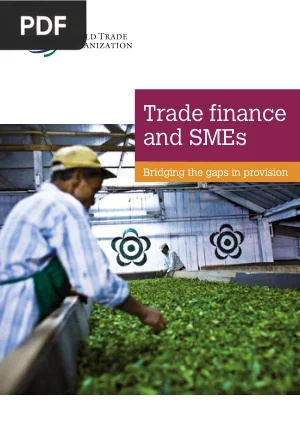Trade Finance and SMEs: Bridging the Gaps in Provision