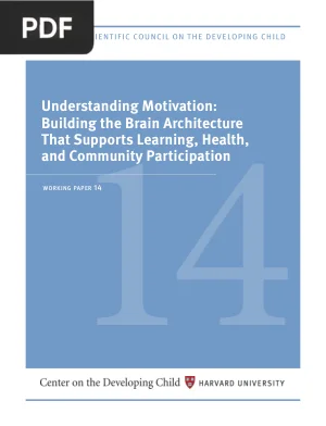 Understanding Motivation: Building the Brain Architecture That Supports Learning