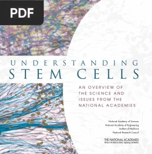 Understanding Stem Cells