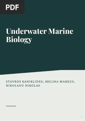 Underwater Marine Biology