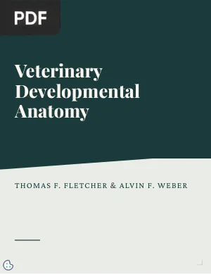Veterinary Developmental Anatomy