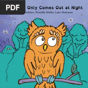 Why Owl Only Comes Out at Night