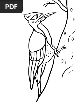 Woodpecker Coloring Page