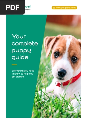 Your complete puppy guide