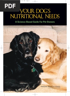 Your Dog´s Nutritions Needs