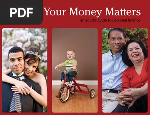 Your Money Matters: An Adult's Guide to Personal Finances